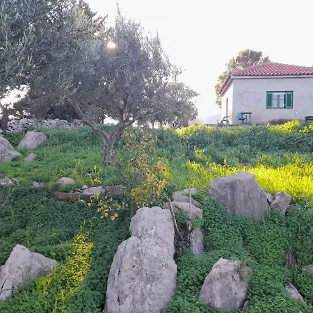 Lakoules Βασιλίτσι