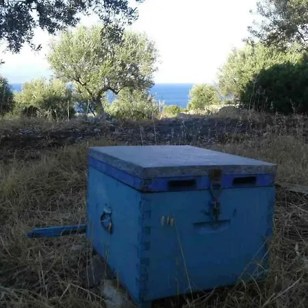 Lakoules Βασιλίτσι