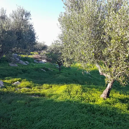 Lakoules