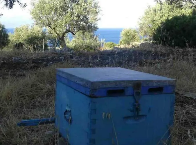 Lakoules Vasilítsion